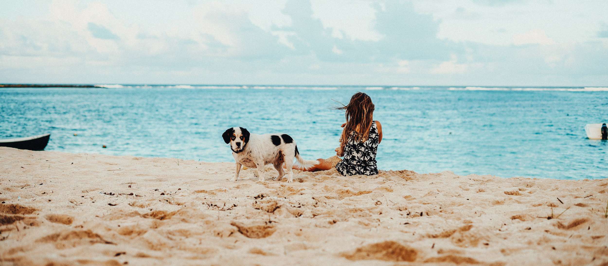 consumirse maíz cráter Playas para perros en Andalucía - Playas pet-friendly | Vrbo España
