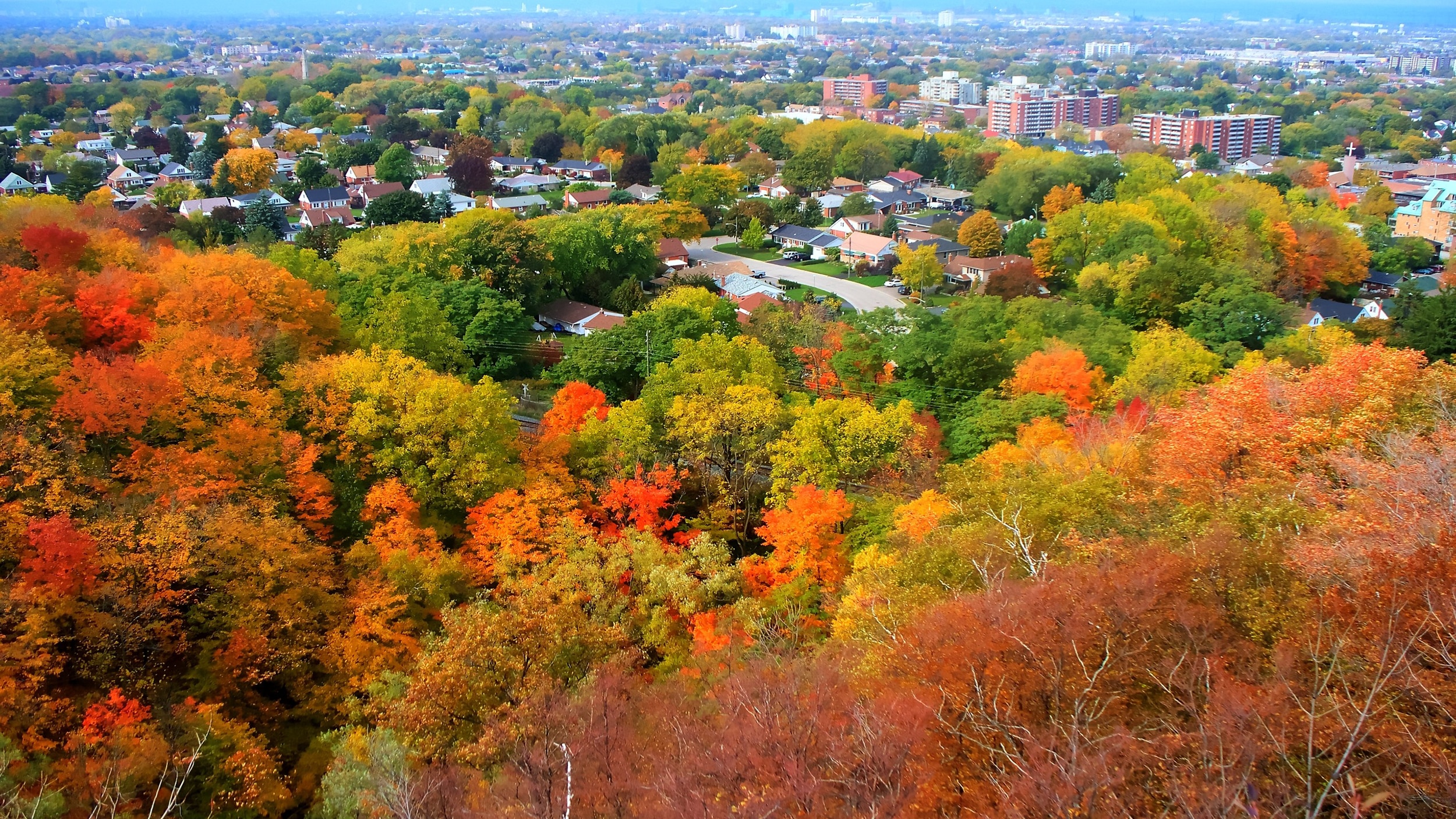 Ontario Fall Colours Where And When To Spot Them Vrbo Canada